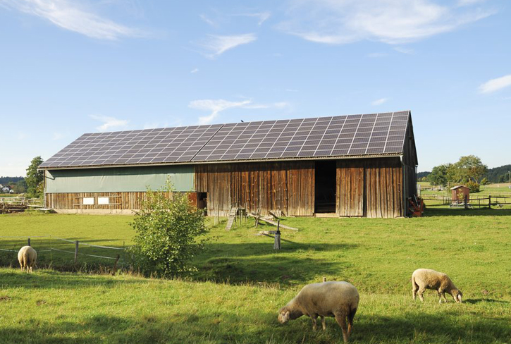 Agriculture solar panel installation services in Ireland